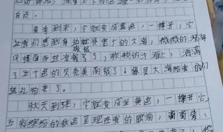 奇妙的想象300字作文