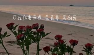 抖音文案短句干净治愈