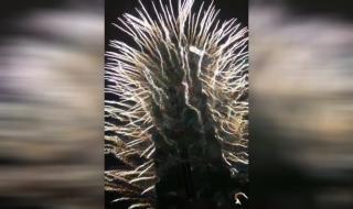 最强蜗牛无限空间2攻略 最强蜗牛无限空间2攻略