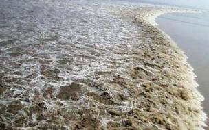 钱塘江大潮每年农历几号 有关钱塘江大潮的资料