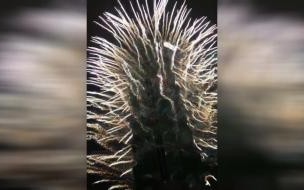 最强蜗牛无限空间2衣柜密码是多少 最强蜗牛无限空间2攻略