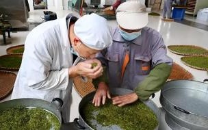 社保一个月交4000是什么水平 退休金4000是什么档次