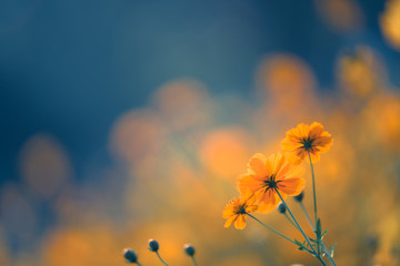 外国文艺美学要略·论著·《美学》