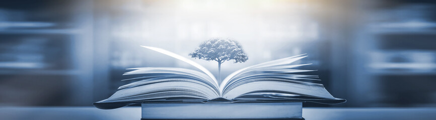 看不见你的笑让我怎么睡的着？