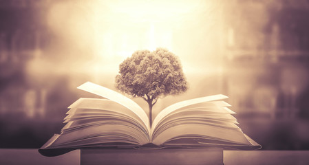 实操教程“手机斗牛牛有挂吗”开挂(透视)辅助教程