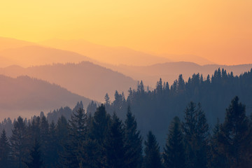 有5寸能看电视的手机