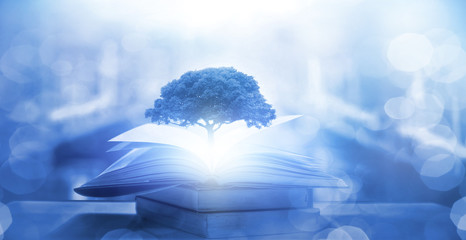 教程辅助!“微乐广西麻将小程序有挂吗”附开挂脚本详细步骤