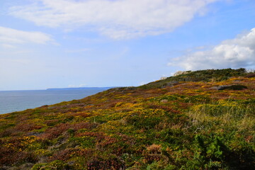 实测分析“微乐内蒙麻将外卦神器下载”(原来确实是有挂)