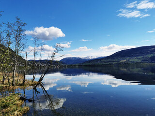 求推荐女追男古代言情小说