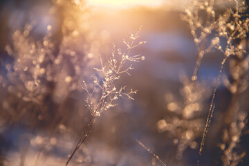 辅助神器“aapoker辅助工具”开挂(透视)辅助教程