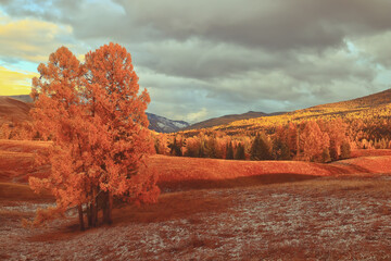 教程分享“微乐河北麻将万能开挂器通用版”分享必要外挂教程