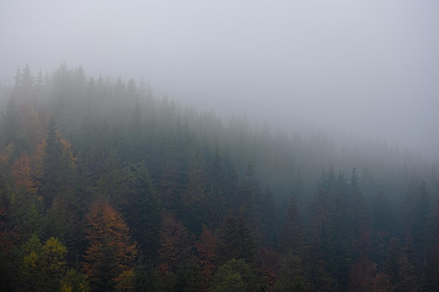 元代文人印章有什么独特风格？