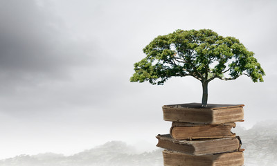 九江市有哪几个区