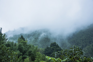 实测分析“微乐捉老麻子开挂神器”开挂详细教程